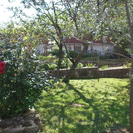 Apartment Panorama